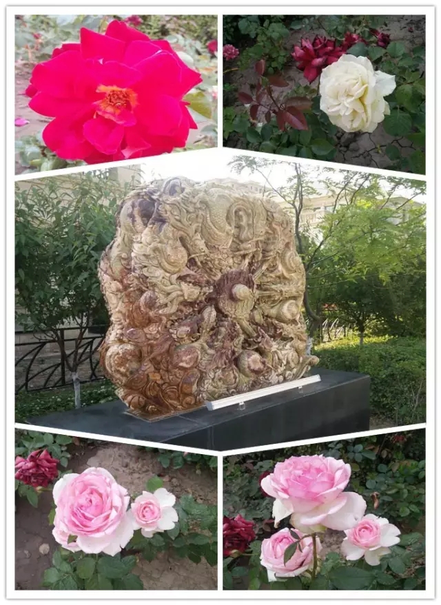 網(wǎng)勢科技6周歲生日快樂！